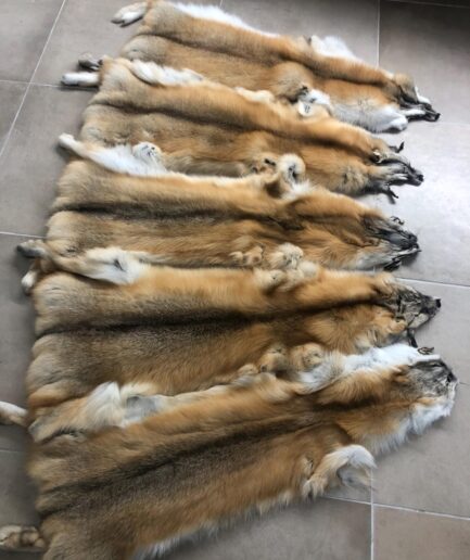 Genuine golden island shadow fox fur pelt, super supple and lavish as a fur stole or raw material for DIY crafts. Luxury fur gift.
