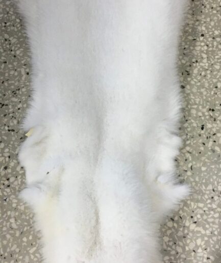 Genuine blue fox fur pelt, super supple and lavish as a fur stole or raw material for DIY crafts. Huge white fox fur skin , luxury fur gift.