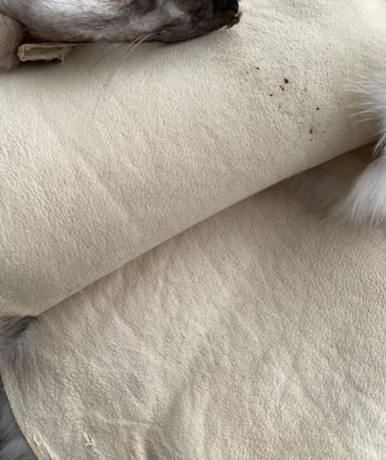 Genuine frost fox fur pelt, super supple and lavish as a fur stole or raw material for DIY crafts. frost fur skin, luxury fur gift.