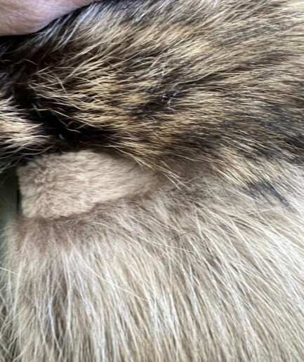 Real beige- brown raccoon fur coat, horizontal with sheared fur trim , super warm, practical and affordable luxury fur gift.Fur in a budget